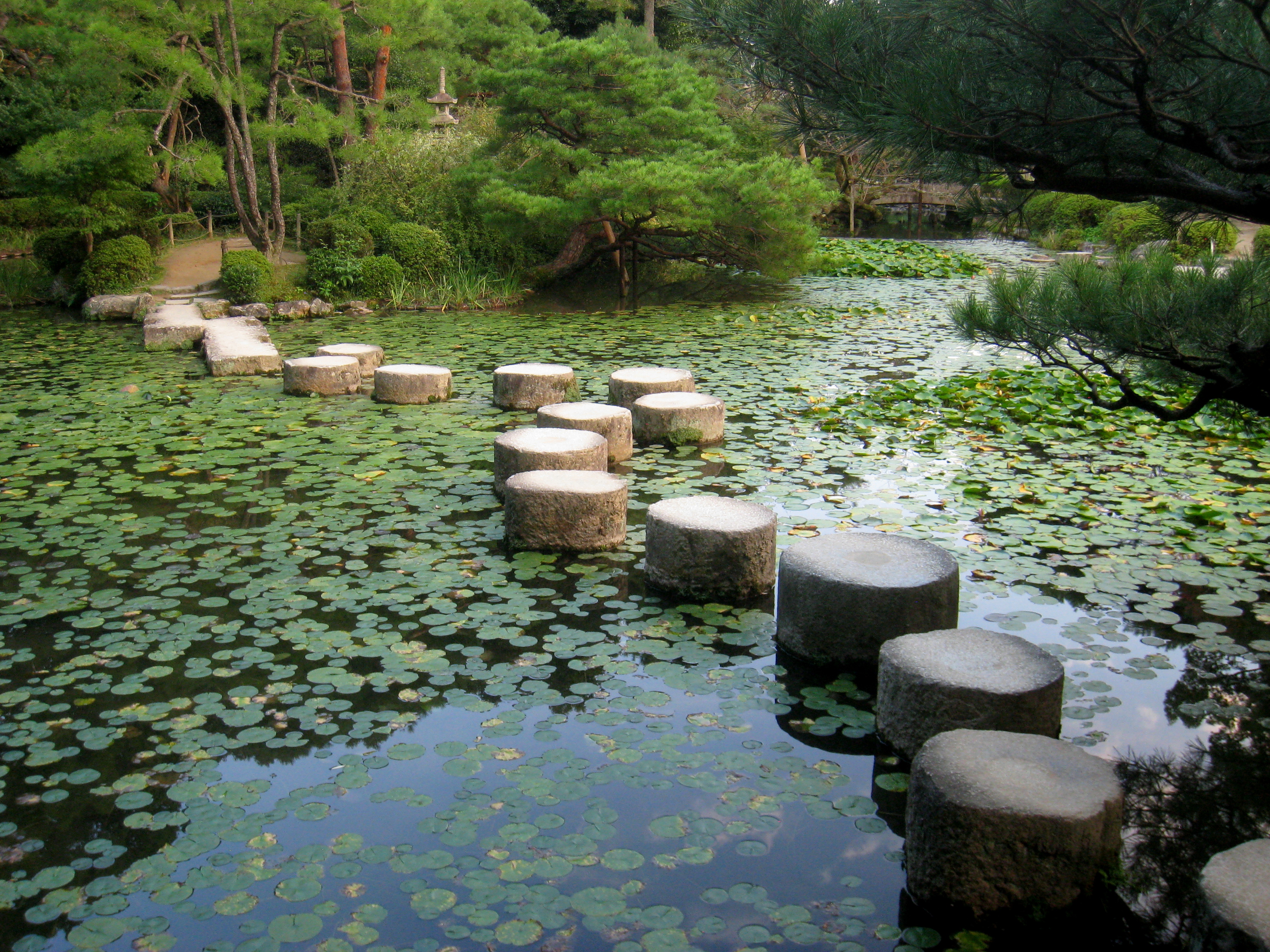 log step water garden