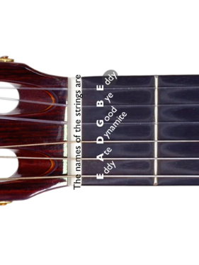 Guitar strings eddie on sale ate